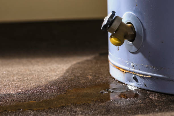 Best Residential water damage restoration  in Parkwood, WA
