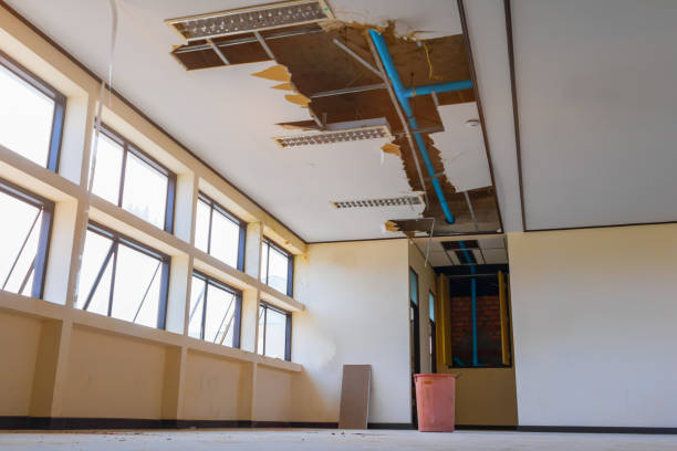 Best Water damage restoration company  in Parkwood, WA