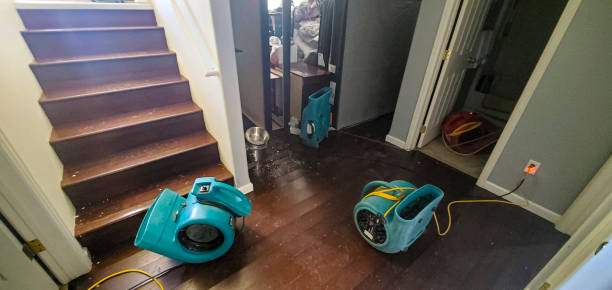 Best Emergency water damage restoration  in Parkwood, WA