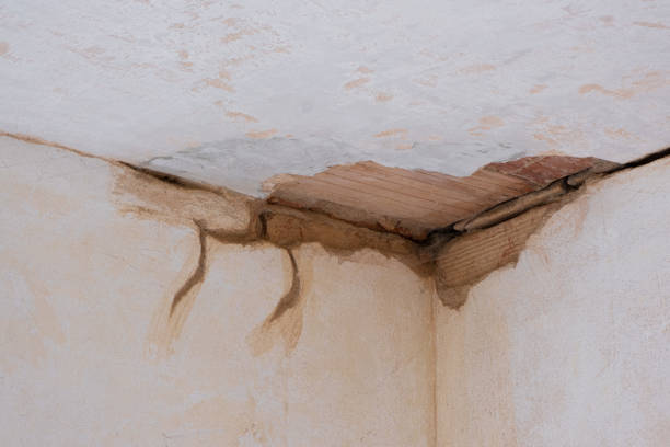 Carpet water damage restoration in Parkwood, WA