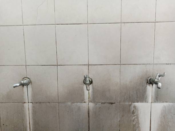 Best Sewage cleanup and water damage restoration  in Parkwood, WA