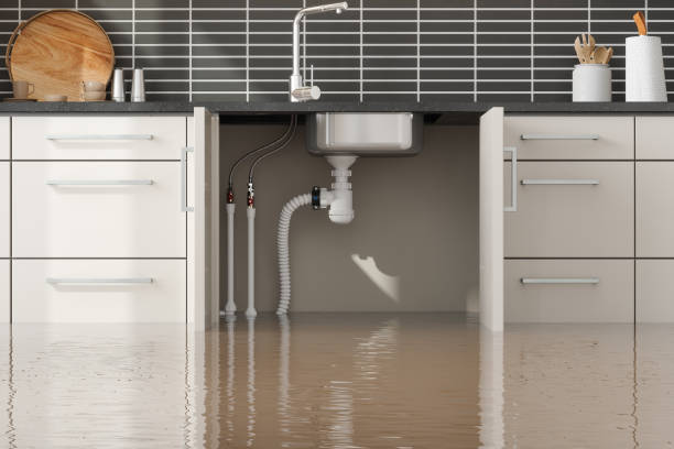Best Flood damage cleanup  in Parkwood, WA