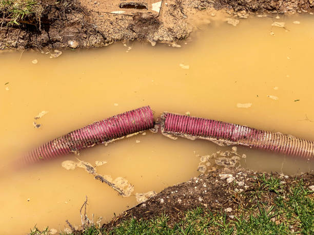Professional Water damage restoration in Parkwood, WA