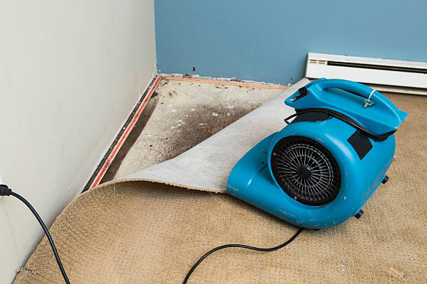 Best Fire Damage Restoration  in Parkwood, WA