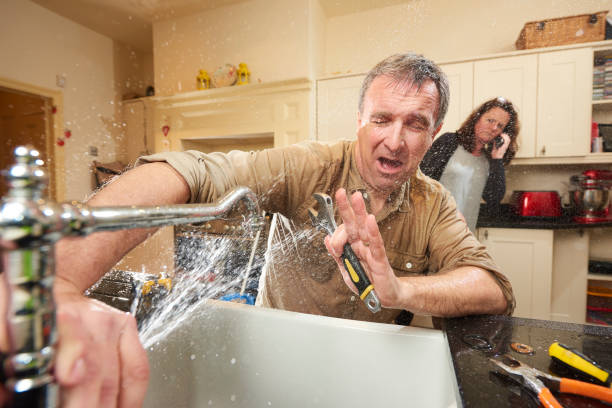 Best Water damage restoration near me  in Parkwood, WA